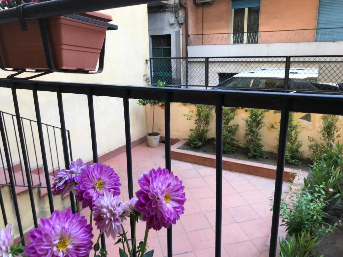 Dr House Appartamento Catania